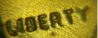 butteryfly2.jpg