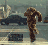 avatar3047_5.gif