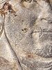 20211002_215400.jpg