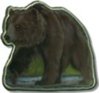 1-Dollar-Grizzly-Bear.jpg