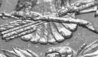 1878 7o8 PCI Vam 33 Tailfeaters B&W.jpg