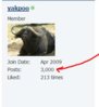 yakpoo_3000_posts_12-30-2011.JPG