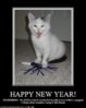 4128342193_funny_pictures_kitten_wishes_you_a_happy_new_year_xlarge.jpeg
