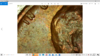 Screenshot (23502).png