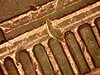 PICA0107.jpg
