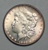 1885MorganObverse.jpg