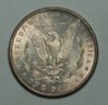 1885MorganReverse.jpg