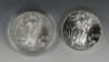 2011SAE_bullion1.jpg