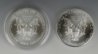 2011SAE_bullion2.jpg