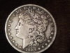 1884.Morgan.10.jpg
