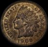1906Obv.jpg