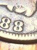IMG_0262.jpeg
