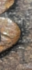 IMG_0432.PNG