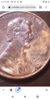 Screenshot_20211127-001440.png