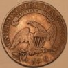 1808r.jpg