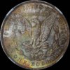 1889_MS64_NGC_Toner_rev800px.jpg