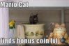 mariocat.jpg