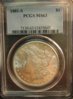 1881-S Morgan PCGS MS63 holder.jpg