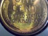 Coins 005.jpg