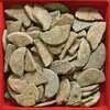 inasta cut coins 2.22.19.jpg