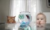 Baby&Cat watch fish.jpg