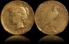 1921 Peace Dollar - NGC XF 45.jpg