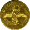 half_eagle_1796_small_eagle_rev_ngc61.jpg