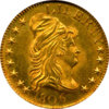 half_eagle_1806_ptd6_obv_ngc63.jpg