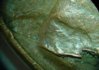 1948SHOULDER.jpg