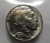 Obverse - Buffalo.jpg