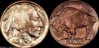 myCoin.php?a=9&c=img4e98bf9810795.jpg