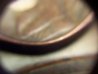 100_3576.jpg
