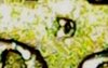 IMG_20211226_223814_01~2.jpg