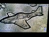 8451DF73-DA41-469C-9A58-6C105E64973B.jpeg