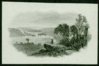 Tiny landscape.jpg