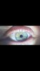 Screenshot_20220120-003129_Gallery.jpg