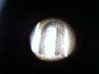 photo(11).jpg