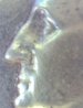 Obverse Mouth 2.jpg