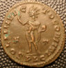 constantinefollis rev_opt_opt.jpg