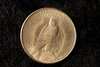 1921-Peace-Back.JPG