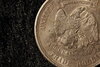 1876s-Trade-Back-Zoom.JPG