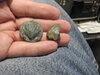 DSCN0748.JPG
