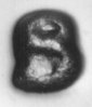 79-S-type I.jpg