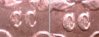 1892_cc_sideby.jpg