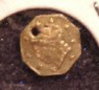 Dscf0665.jpg