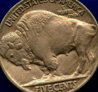 buffalo 1914r (2).jpg