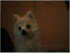 MyPicture006.jpg