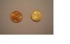 1979_Penny.JPG