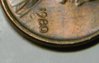 DSCN1169.JPG