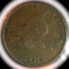 DSCN0896.JPG